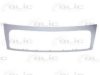 FIAT 1497649078 Radiator Grille